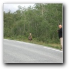 [Clic per ingrandire]