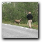 [Clic per ingrandire]