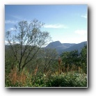 [Clic per ingrandire]