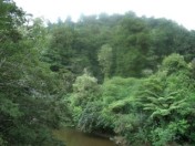 CIMG2011.JPG
